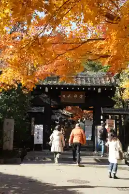 常寂光寺(京都府)