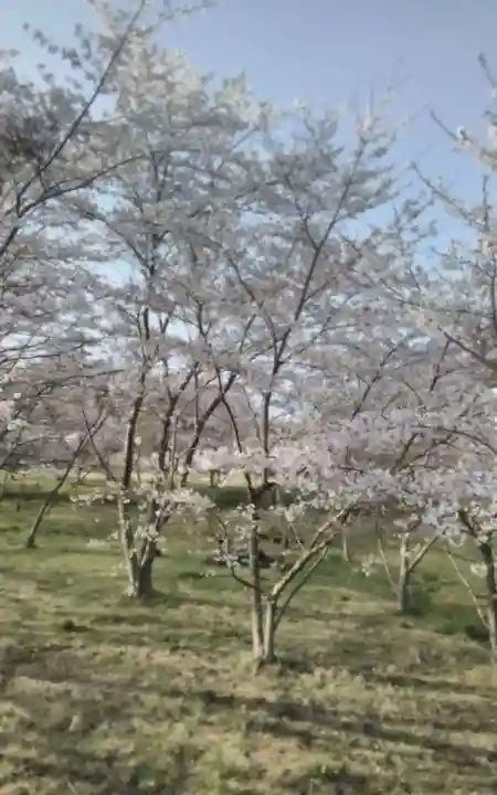 化女沼龍神(宮城県)