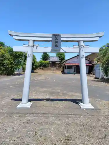 鷲神社(埼玉県)