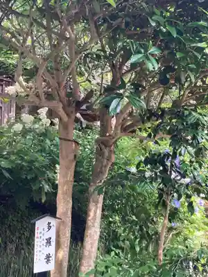 佛日庵(神奈川県)