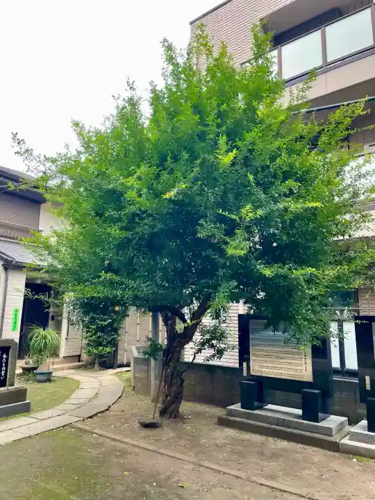 成田山不動大教会(東京都)