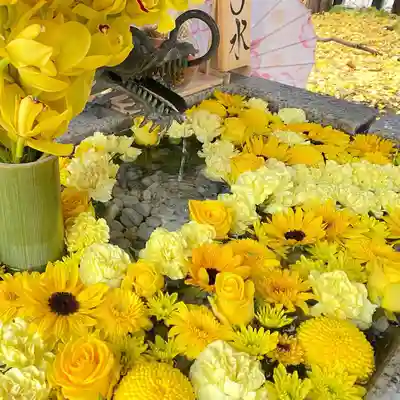 札幌諏訪神社の手水舎