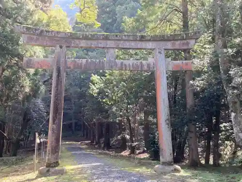 少彦名神社の鳥居