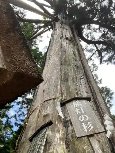 元伊勢内宮 皇大神社の庭園