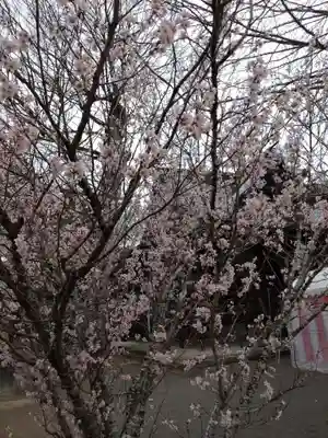 賀羅加波神社(広島県)