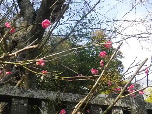 御霊神社の自然