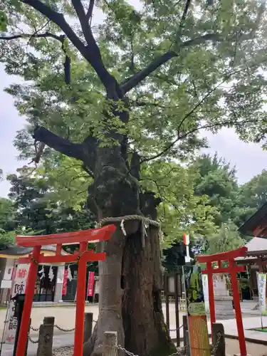 新田神社(東京都)