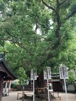 大聖観音寺（あびこ観音）(大阪府)
