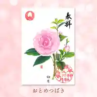 諫早神社(九州総守護 四面宮)の御朱印