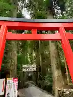 箱根神社(神奈川県)