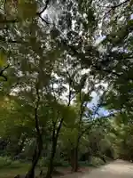賀茂御祖神社(下鴨神社)(京都府)