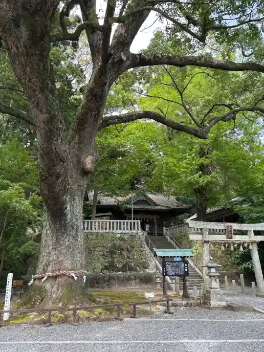 事任八幡宮(静岡県)