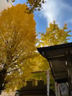 銀杏岡八幡神社(東京都)