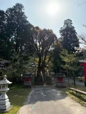 天御中主神社の{uncategorized: "未分類", other: "その他", undefined: "問題あり", building: "その他建物", grave: "お墓", sacred_gate: "鳥居", guardian: "狛犬", statue: "像", buddha: "仏像", history: "歴史", nature: "自然", garden: "庭園", animal: "動物", pagoda: "塔", temizu: "手水舎", mountain_gate: "山門・神門", sanctuary: "本殿・本堂", subordinate: "末社・摂社", art: "芸術", scenery: "景色", jizo: "地蔵", ema: "絵馬", goshuin: "御朱印", omikuji: "おみくじ", items: "授与品その他", amulet: "お守り", goshuincho: "御朱印帳", eats: "食事", festival: "お祭り", votive_dance: "神楽", shichigosan: "七五三参", wedding: "結婚式", experience: "体験その他", initially: "初詣", around: "周辺", anti_infection: "感染症対策"}