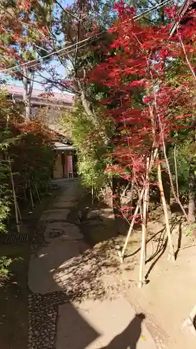 須賀神社の自然