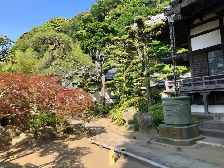 本蓮寺の{uncategorized: "未分類", other: "その他", undefined: "問題あり", building: "その他建物", grave: "お墓", sacred_gate: "鳥居", guardian: "狛犬", statue: "像", buddha: "仏像", history: "歴史", nature: "自然", garden: "庭園", animal: "動物", pagoda: "塔", temizu: "手水舎", mountain_gate: "山門・神門", sanctuary: "本殿・本堂", subordinate: "末社・摂社", art: "芸術", scenery: "景色", jizo: "地蔵", ema: "絵馬", goshuin: "御朱印", omikuji: "おみくじ", items: "授与品その他", amulet: "お守り", goshuincho: "御朱印帳", eats: "食事", festival: "お祭り", votive_dance: "神楽", shichigosan: "七五三参", wedding: "結婚式", experience: "体験その他", initially: "初詣", around: "周辺", anti_infection: "感染症対策"}