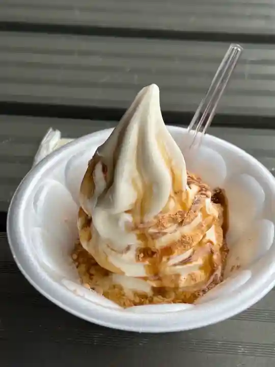 武田神社(山梨県)