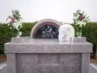 雨竜 専福寺(北海道)