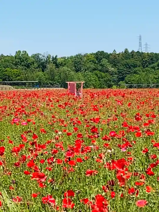 鬼鎮神社の{uncategorized: "未分類", other: "その他", undefined: "問題あり", building: "その他建物", grave: "お墓", sacred_gate: "鳥居", guardian: "狛犬", statue: "像", buddha: "仏像", history: "歴史", nature: "自然", garden: "庭園", animal: "動物", pagoda: "塔", temizu: "手水舎", mountain_gate: "山門・神門", sanctuary: "本殿・本堂", subordinate: "末社・摂社", art: "芸術", scenery: "景色", jizo: "地蔵", ema: "絵馬", goshuin: "御朱印", omikuji: "おみくじ", items: "授与品その他", amulet: "お守り", goshuincho: "御朱印帳", eats: "食事", festival: "お祭り", votive_dance: "神楽", shichigosan: "七五三参", wedding: "結婚式", experience: "体験その他", initially: "初詣", around: "周辺", anti_infection: "感染症対策"}