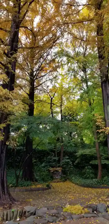 増上寺塔頭 三縁山 宝珠院の周辺