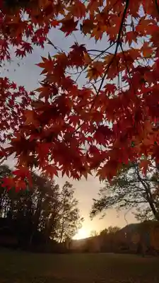 相馬神社の自然