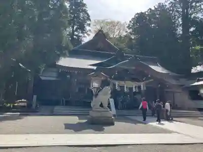白山比咩神社の{uncategorized: "未分類", other: "その他", undefined: "問題あり", building: "その他建物", grave: "お墓", sacred_gate: "鳥居", guardian: "狛犬", statue: "像", buddha: "仏像", history: "歴史", nature: "自然", garden: "庭園", animal: "動物", pagoda: "塔", temizu: "手水舎", mountain_gate: "山門・神門", sanctuary: "本殿・本堂", subordinate: "末社・摂社", art: "芸術", scenery: "景色", jizo: "地蔵", ema: "絵馬", goshuin: "御朱印", omikuji: "おみくじ", items: "授与品その他", amulet: "お守り", goshuincho: "御朱印帳", eats: "食事", festival: "お祭り", votive_dance: "神楽", shichigosan: "七五三参", wedding: "結婚式", experience: "体験その他", initially: "初詣", around: "周辺", anti_infection: "感染症対策"}