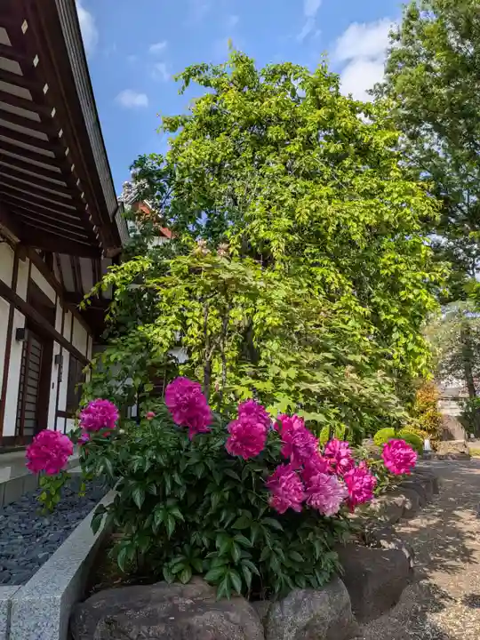 瑞円寺(東京都)