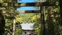 椿大神社の{uncategorized: "未分類", other: "その他", undefined: "問題あり", building: "その他建物", grave: "お墓", sacred_gate: "鳥居", guardian: "狛犬", statue: "像", buddha: "仏像", history: "歴史", nature: "自然", garden: "庭園", animal: "動物", pagoda: "塔", temizu: "手水舎", mountain_gate: "山門・神門", sanctuary: "本殿・本堂", subordinate: "末社・摂社", art: "芸術", scenery: "景色", jizo: "地蔵", ema: "絵馬", goshuin: "御朱印", omikuji: "おみくじ", items: "授与品その他", amulet: "お守り", goshuincho: "御朱印帳", eats: "食事", festival: "お祭り", votive_dance: "神楽", shichigosan: "七五三参", wedding: "結婚式", experience: "体験その他", initially: "初詣", around: "周辺", anti_infection: "感染症対策"}