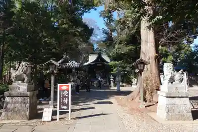 岩槻久伊豆神社のその他建物