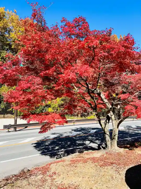 胡宮神社(敏満寺史跡)(滋賀県)