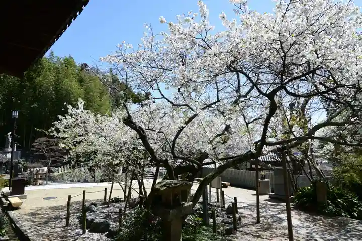 大宝寺(愛媛県)