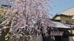 石像寺（釘抜地蔵）の山門