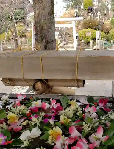 鳩森八幡神社の手水舎