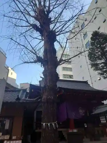 日本橋日枝神社(東京都)