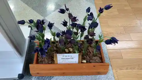 とんとん神社の芸術