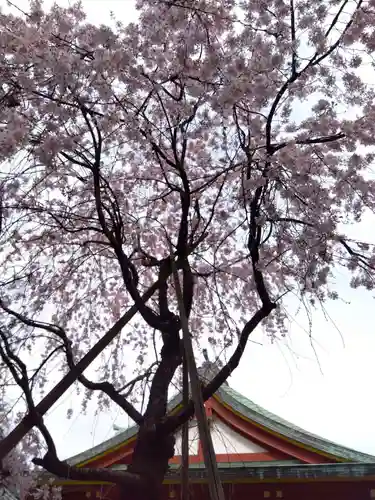 神田神社（神田明神）(東京都)