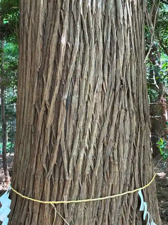 鹿島神社(茨城県)