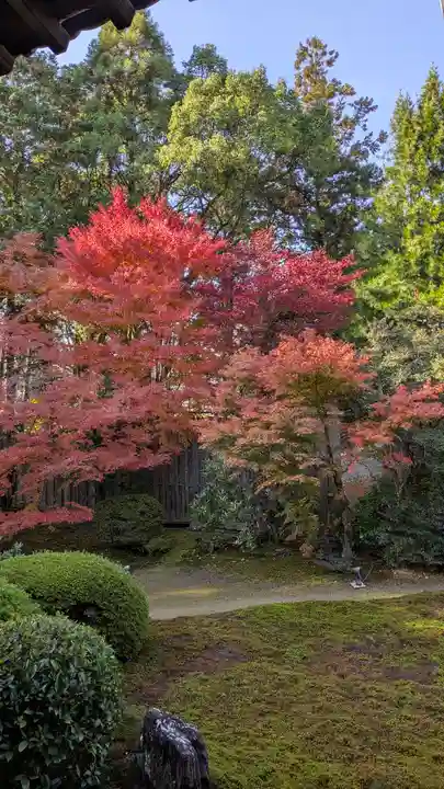 隨心院(随心院)(京都府)