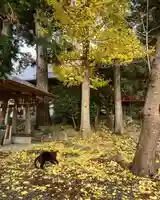 高司神社〜むすびの神の鎮まる社〜のその他建物