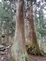 駒形根神社の自然