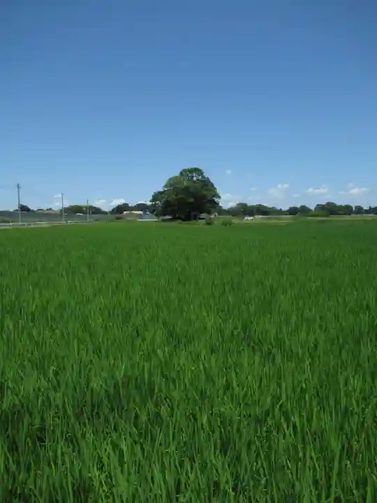 神明神社(千葉県)