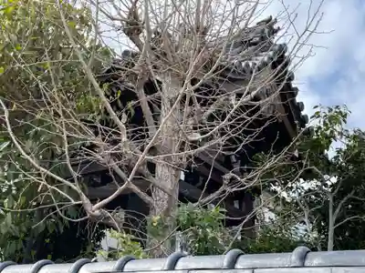 蓮生寺(京都府)