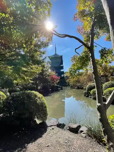 東寺（教王護国寺）(京都府)