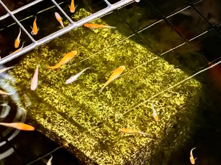 徳勝寺(滋賀県)