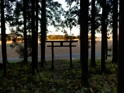 浅間神社の鳥居