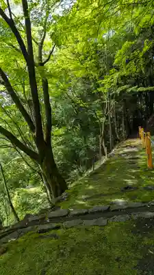 善峯寺(京都府)