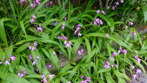浄土寺(愛媛県)