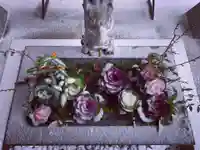 滑川神社 - 仕事と子どもの守り神の手水舎