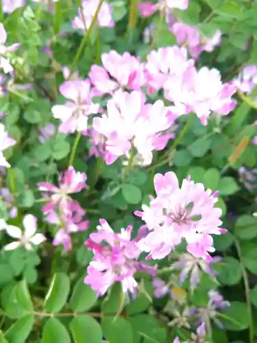 城山稲荷神社の周辺