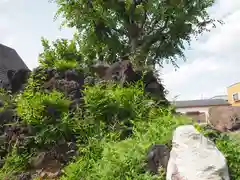 浅間神社の建物その他